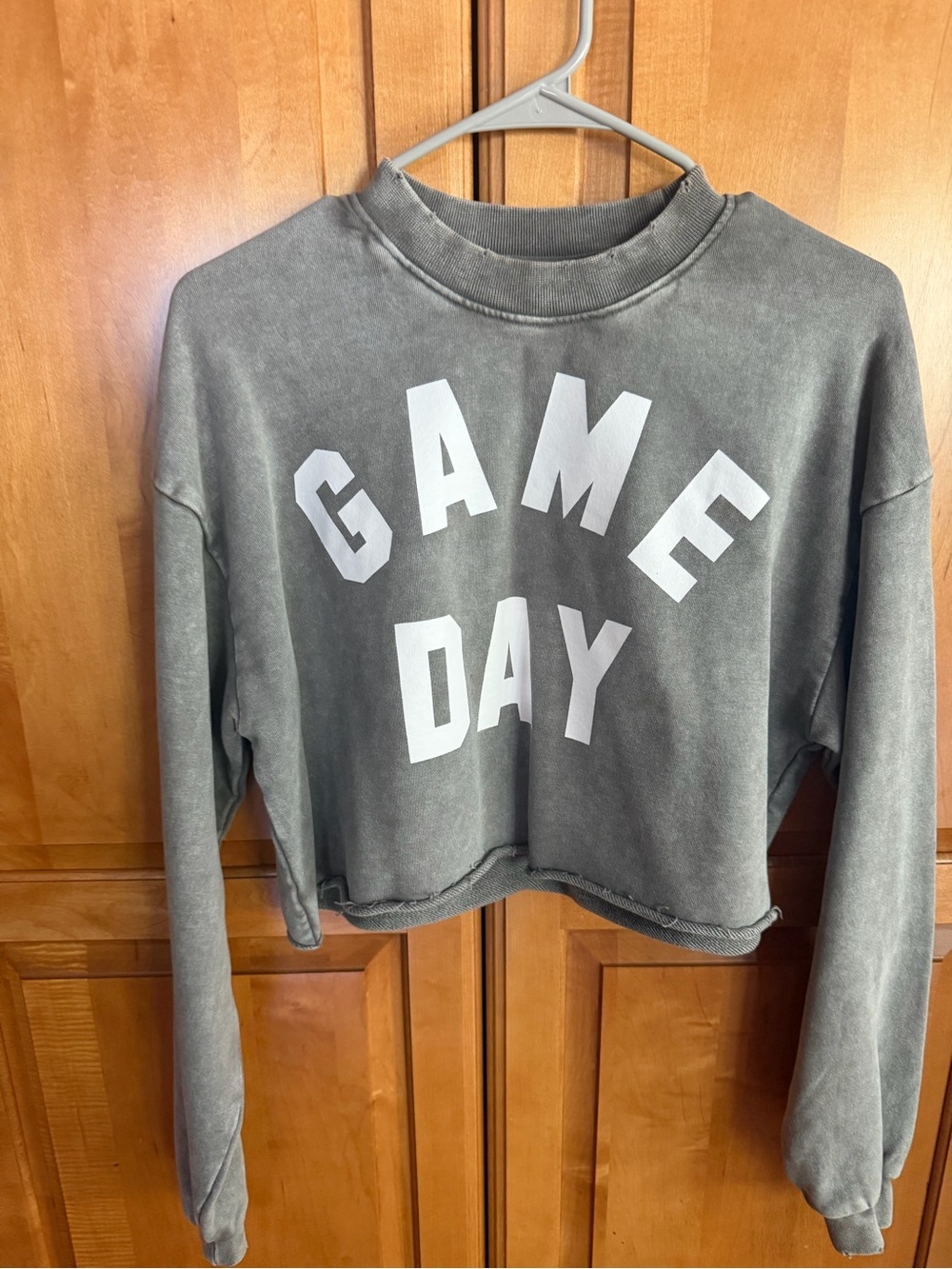 GAME DAY / Sports Sweatshirt. By Live, Love, GameDay. Small. Gray Cropped